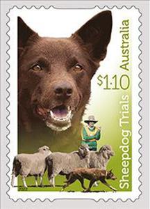 Stamp, Australian Kelpie, Australia,  , Dogs, Sheep