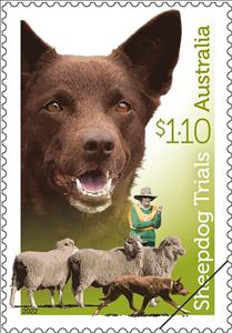 Stamp, Australian Kelpie, Australia,  , Dogs, Sheep