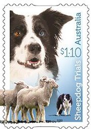 Stamp, Black-and-White Border Collie, Australia,  , Dogs, Sheep
