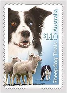 Stamp, Black-and-White Border Collie, Australia,  , Dogs, Sheep