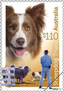 Booklet, Brown-and-White Border Collie, Australia,  , Dogs, Sheep