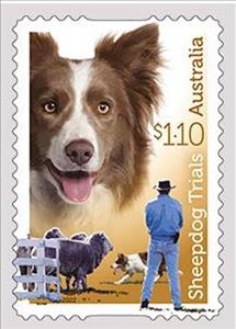 Stamp, Brown-and-White Border Collie, Australia,  , Dogs, Sheep