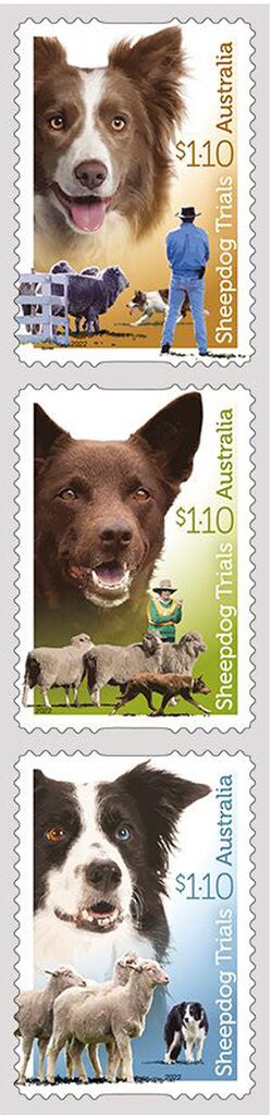 Sheepdog Trials, 150th Anniversary