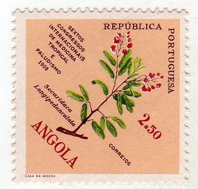 Medicine congress