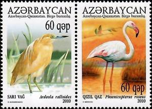 Se-tenant, Greater Flamingo (Phoenicopterus roseus), Azerbaijan,  , Animals (Fauna), Birds, Environment Protection, Flamingos, Herons, Joint Issues