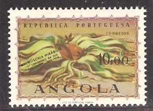 Stamp, Welwitschia mirabilis, Angola,  , Plants (Flora)