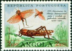 Stamp, Red Locust (Nomadacris septemfasciata), Angola,  , Insects, Animals (Fauna)