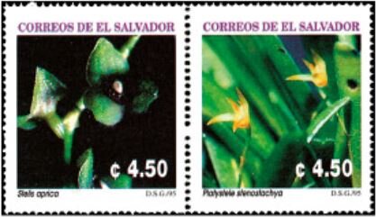 Se-tenant, Stelis aprica - Platystele stenostachya, El Salvador,  , Flowers, Orchids, Plants (Flora)