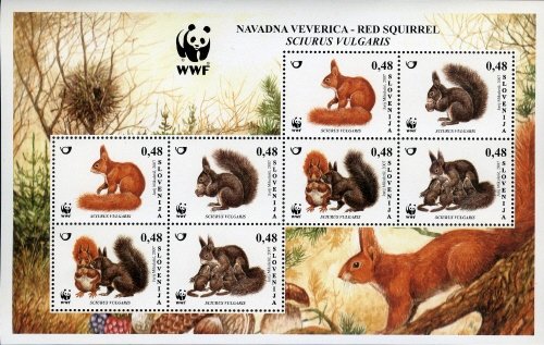 Animals – WWF – Red Squirrel 