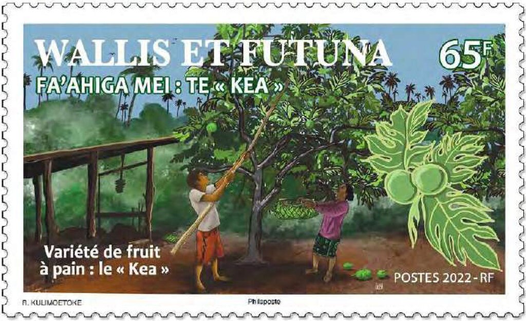 Kea Breadfruit