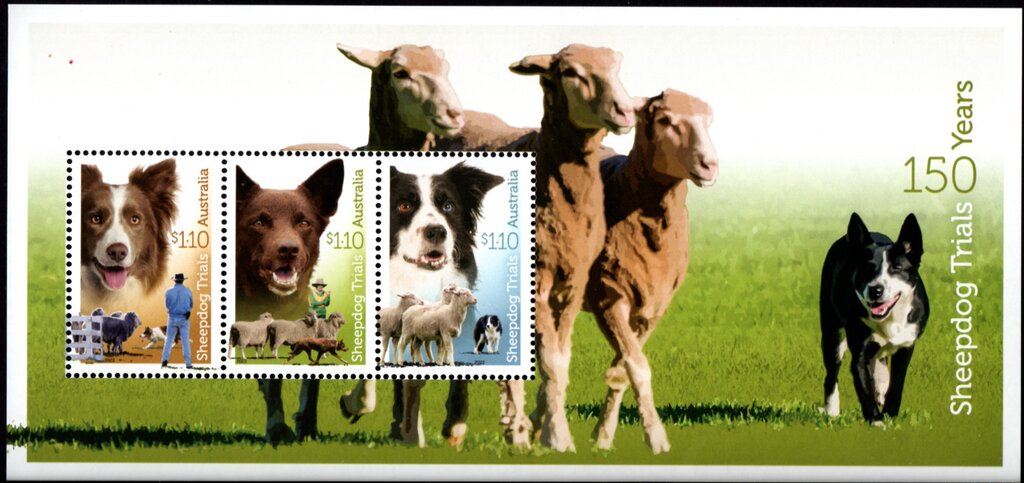150th Anniversary of Sheepdog Trials (2022)