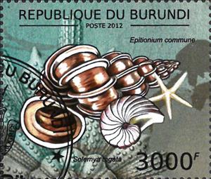 Stamp, Epitionium commune / Solemya togata, Burundi,  , Animals (Fauna), Molluscs, Sea Life, Shells