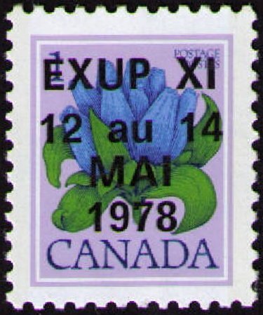 Bottle Gentian (Gentiana andrewsii) overprinted