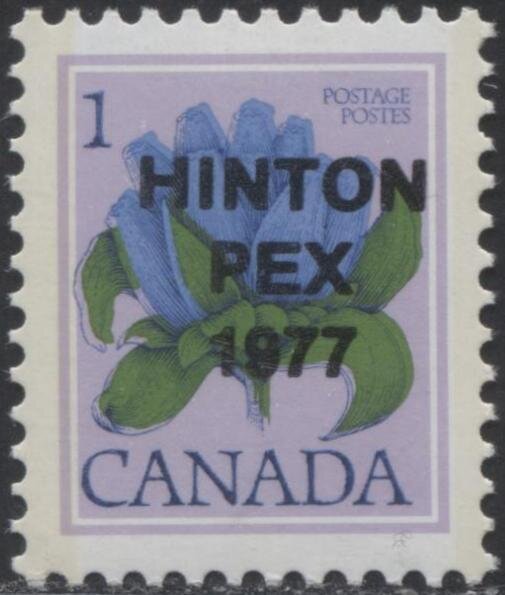 Bottle Gentian (Gentiana andrewsii) overprinted