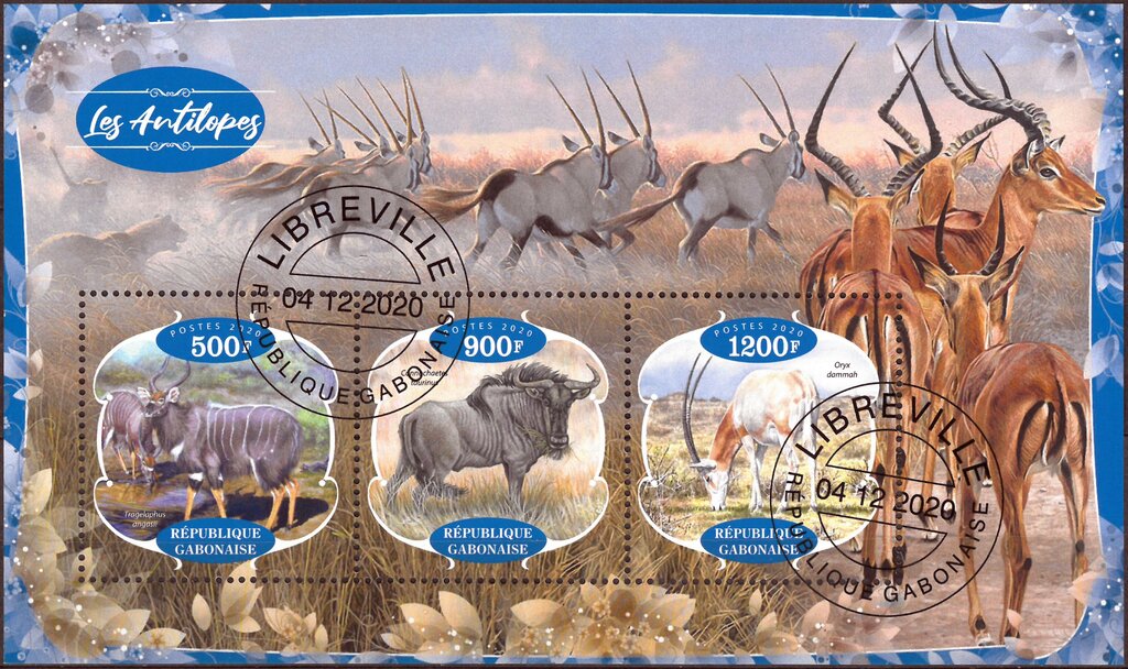 Antelopes