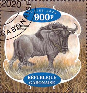 Stamp, Antelopes, Cinderellas,  , Animals (Fauna), Antelopes, Mammals