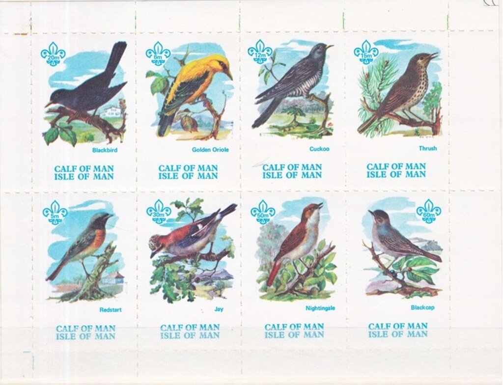 Birds