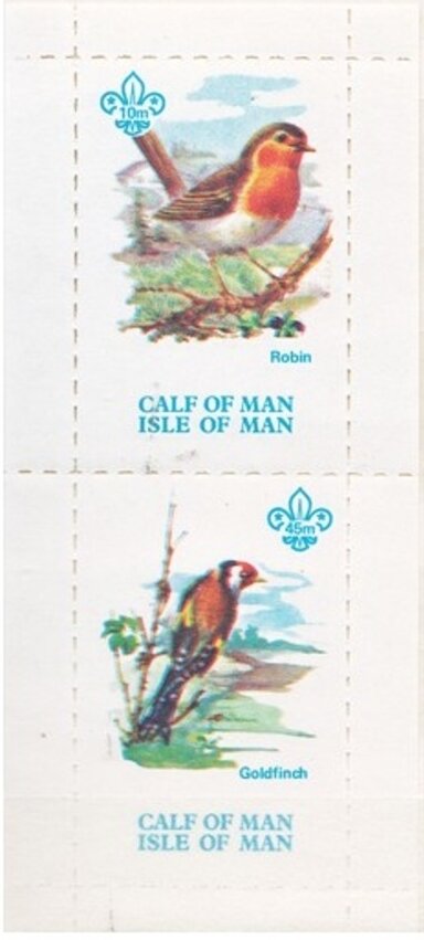 Birds