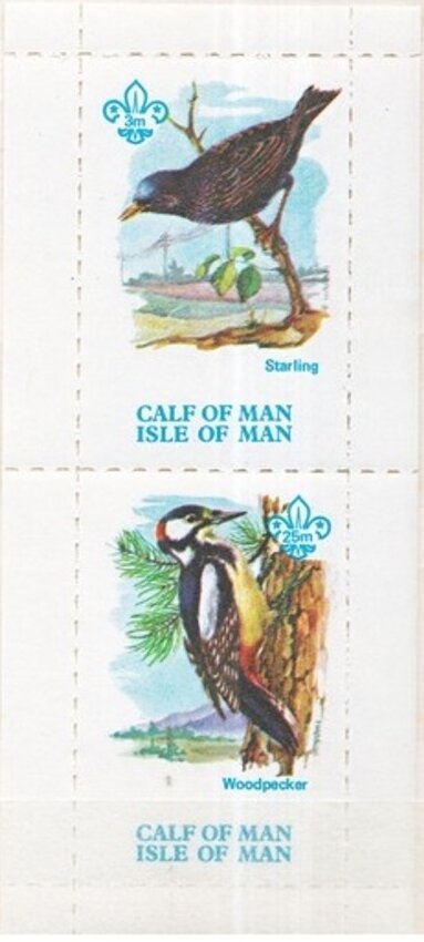 Birds