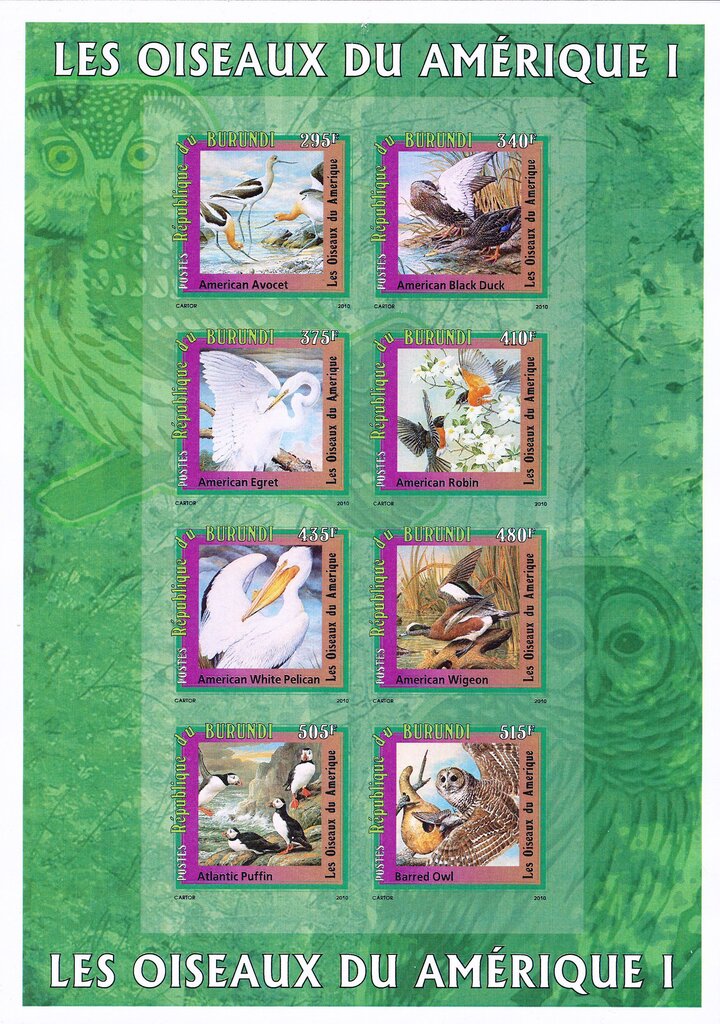 Birds