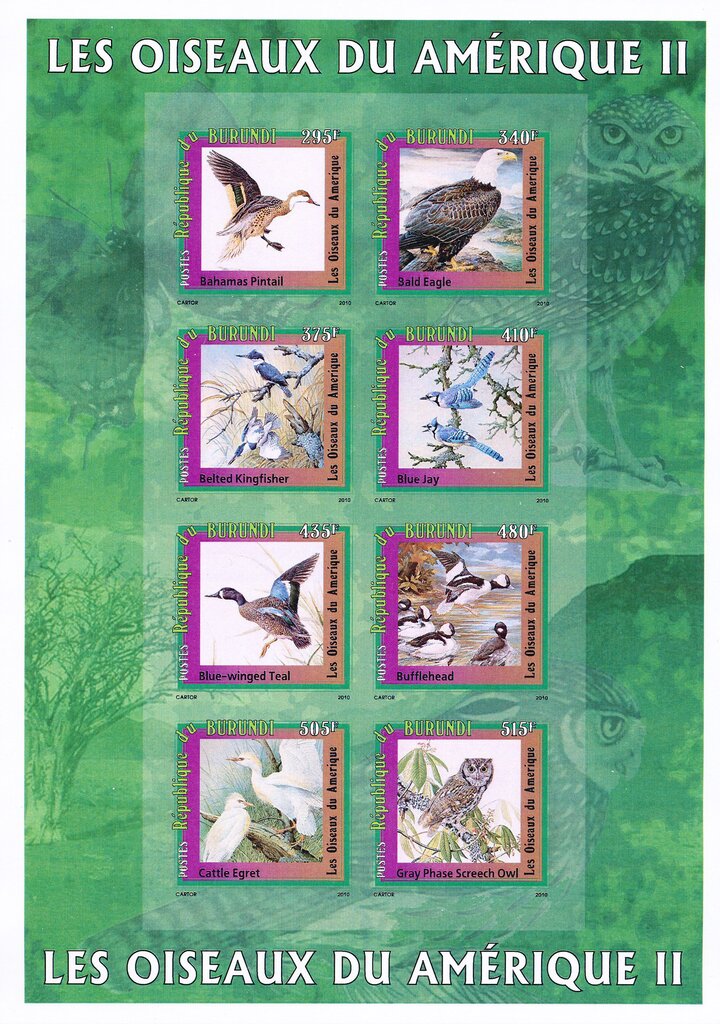 Birds