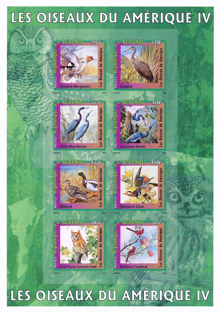 Birds