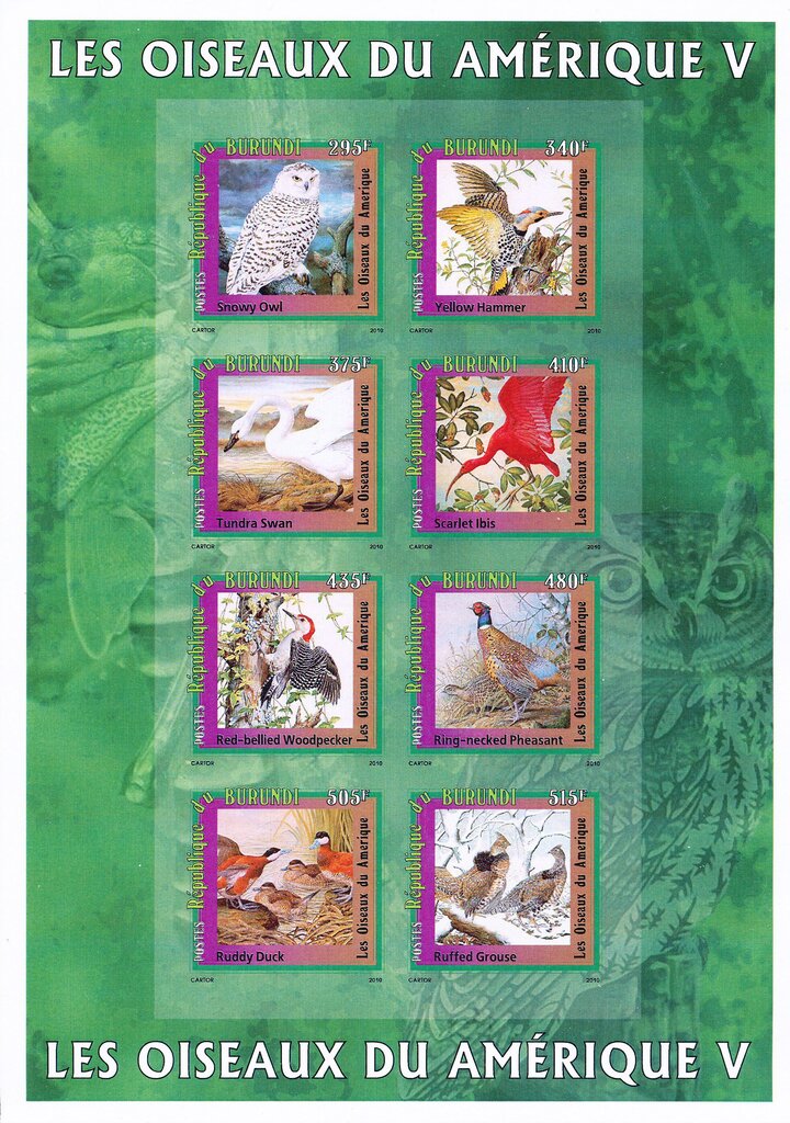 Birds