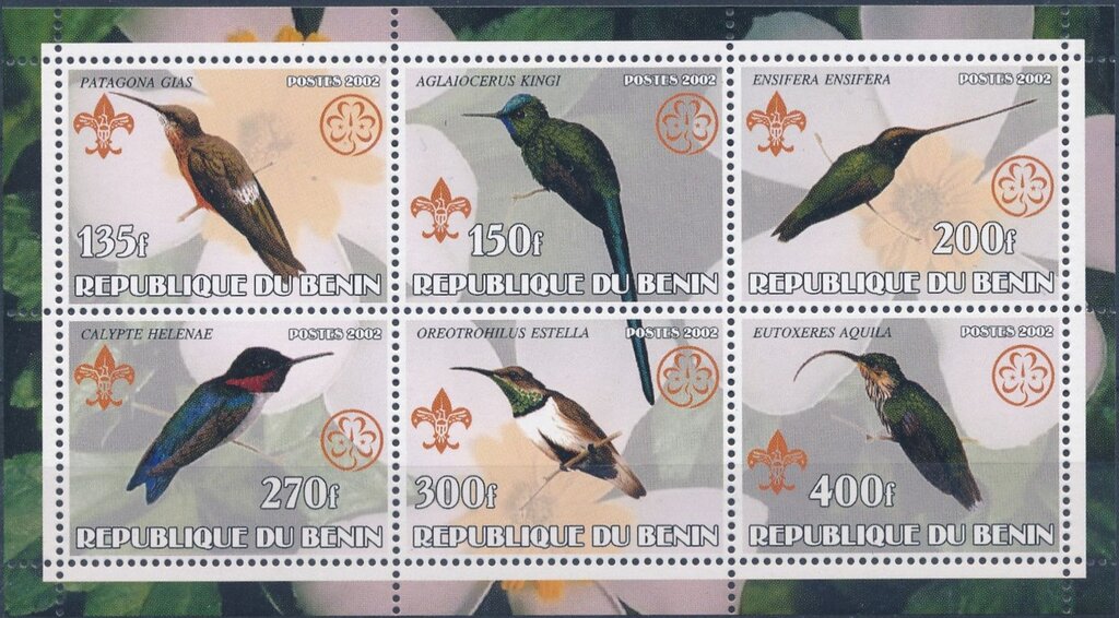 Birds