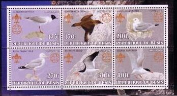 Birds