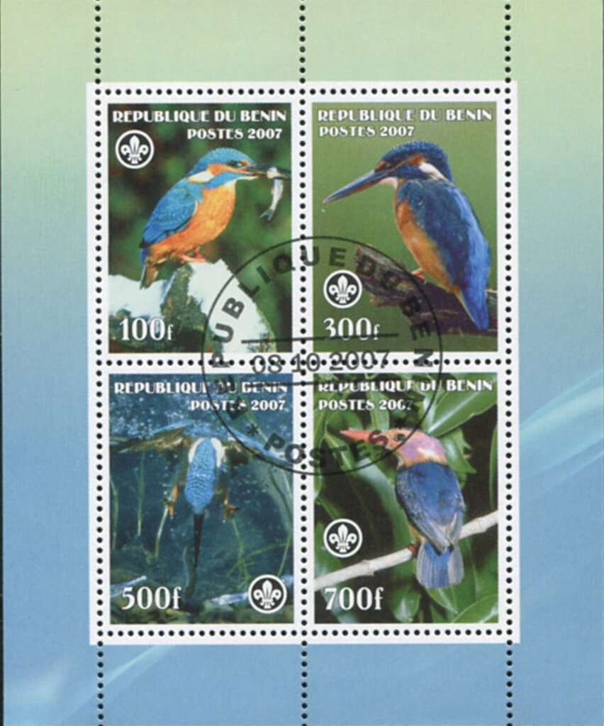 Birds