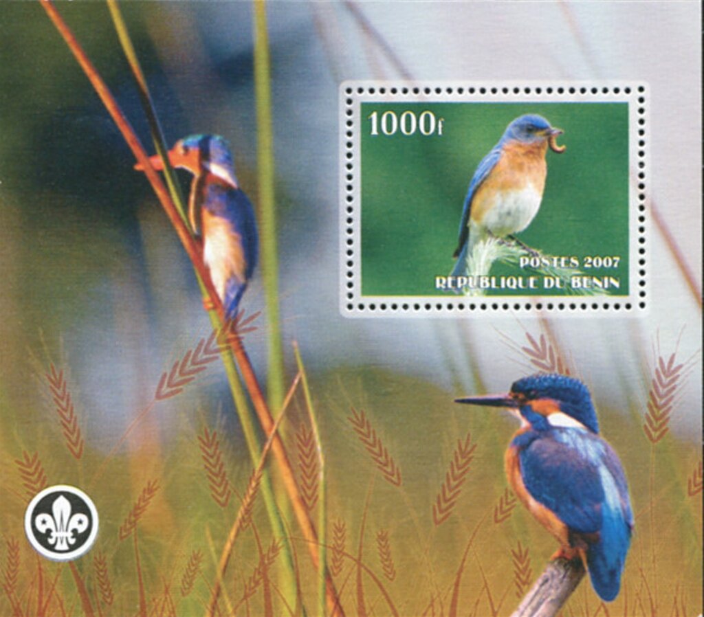 Birds