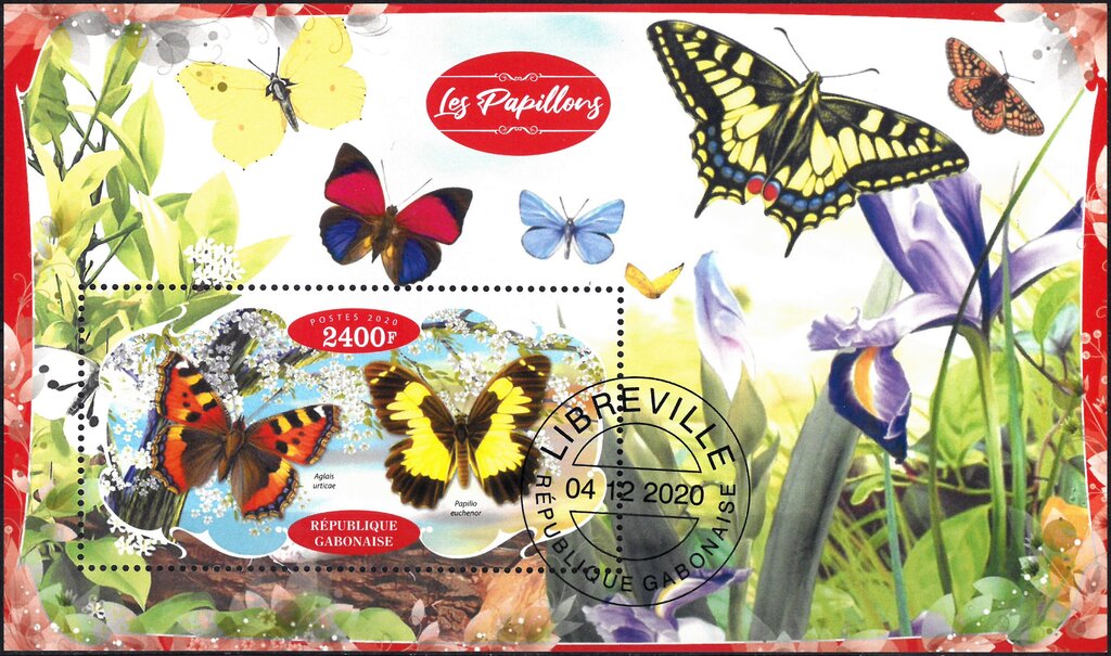 Butterflies