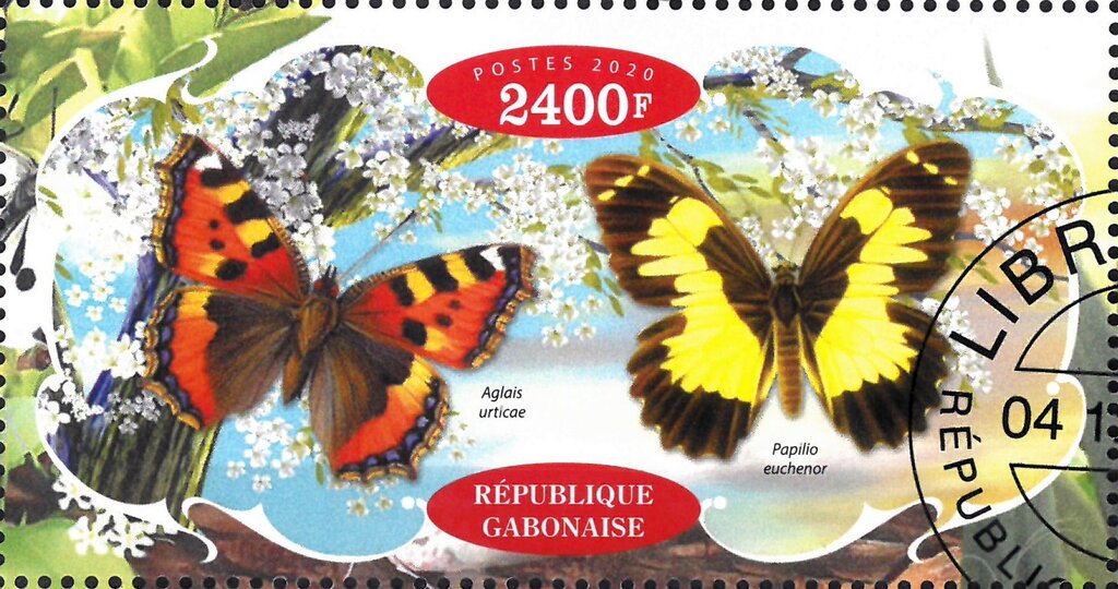 Butterflies