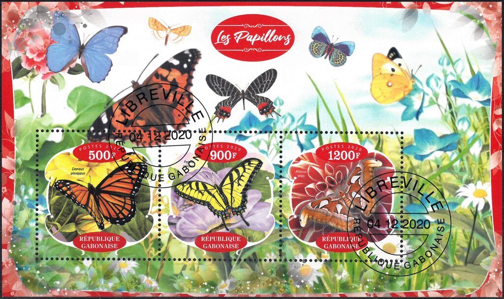 Butterflies