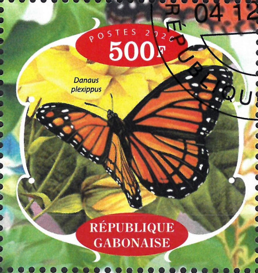 Butterflies