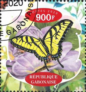 Stamp, Butterflies, Cinderellas,  , Animals (Fauna), Butterflies, Insects