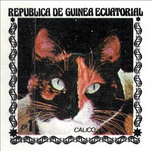 Stamp, Calico Cat (Felis silvestris catus), Cinderellas,  , Animals (Fauna), Cats, Mammals