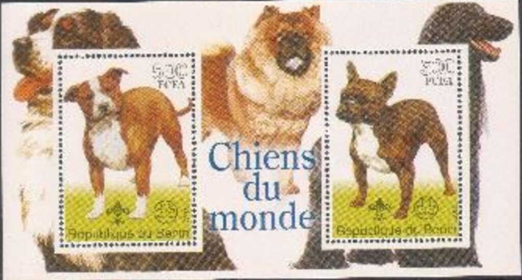 Dogs