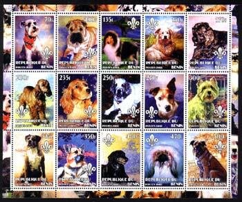 Dogs