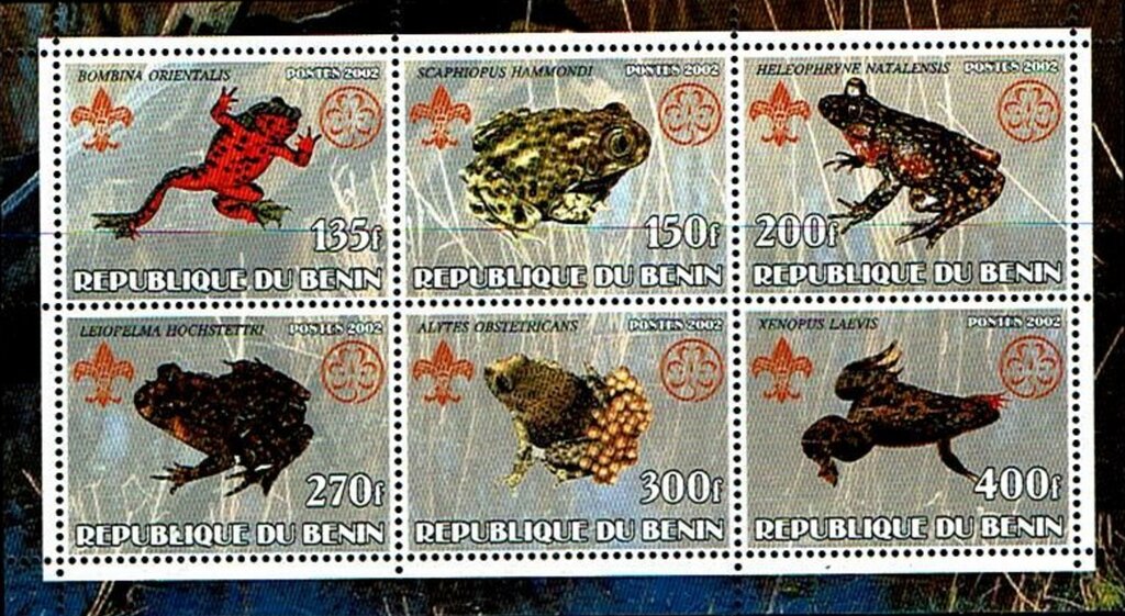 Frogs