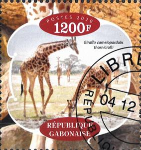 Stamp, Giraffes, Cinderellas,  , Animals (Fauna), Giraffes, Mammals