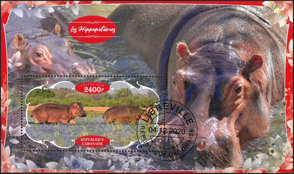 Hippopotamus