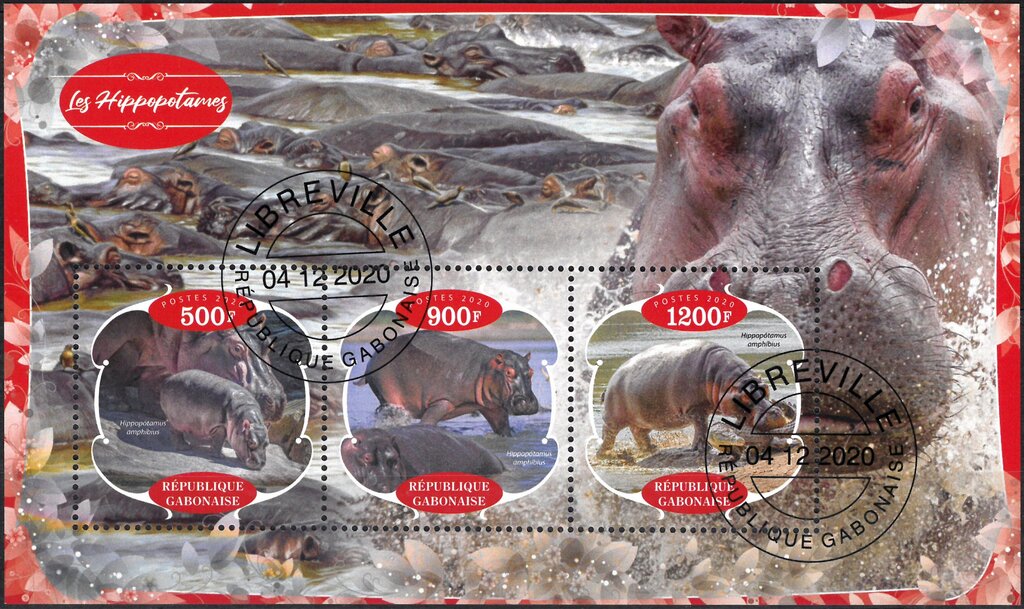 Hippopotamus