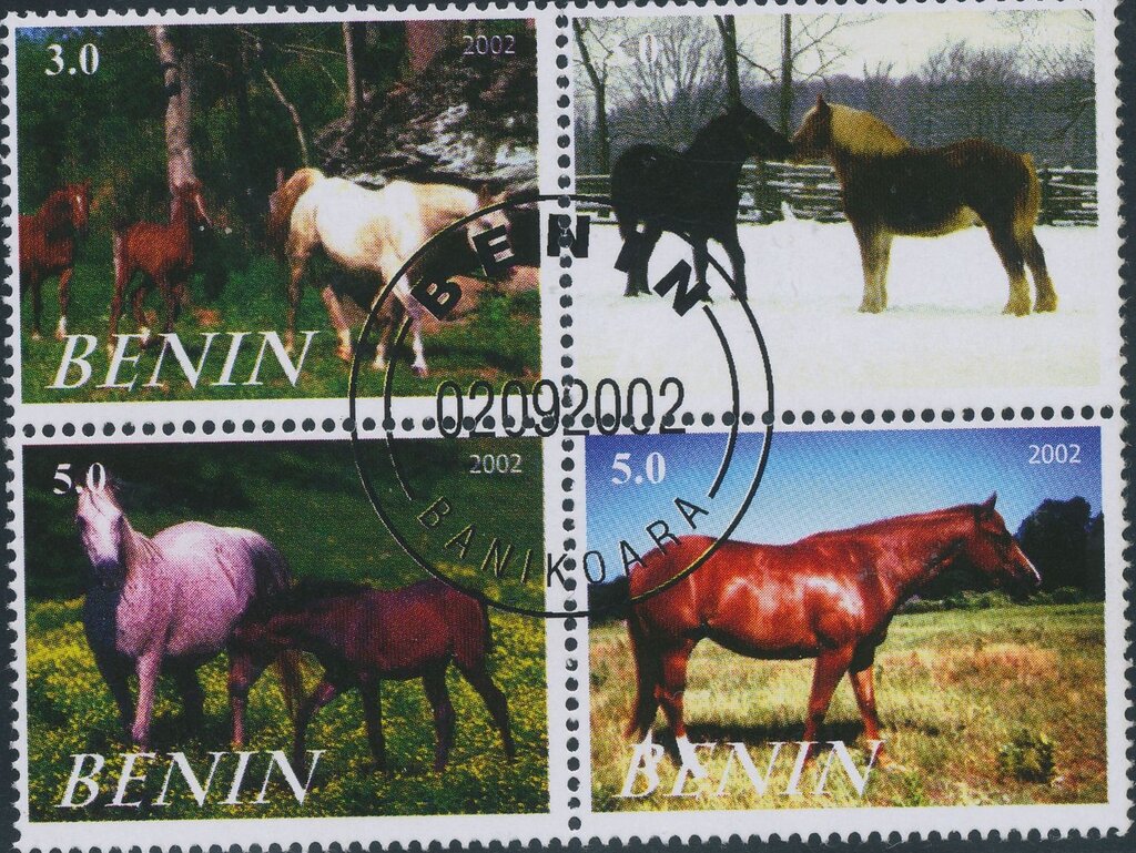 Horses