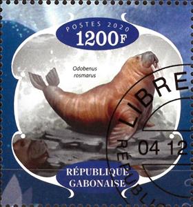 Stamp, Les Phocues, Cinderellas,  , Animals (Fauna), Mammals