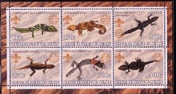 Lizards
