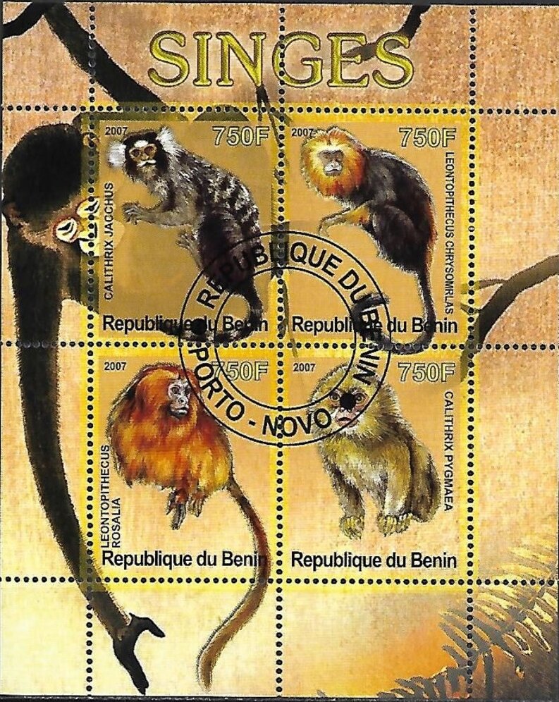 Monkeys