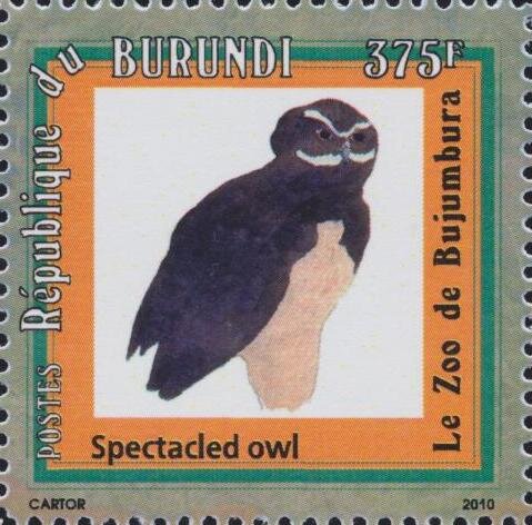 Owl