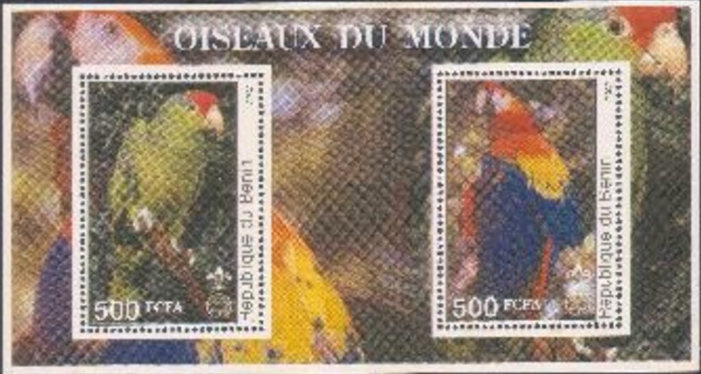 Parrots