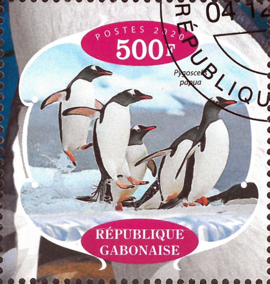 Penguins